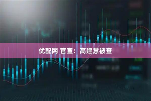 优配网 官宣：高建慧被查